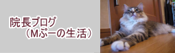 枠（ボトム）