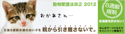 枠（ボトム）